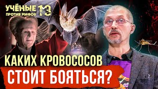 Опасные кровососы: от летучих мышей до пиявок. Евгений Рыбалтовский. Учёные против мифов 13-2