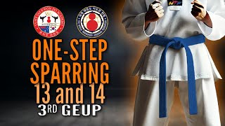 One-Step Sparring 13 + 14