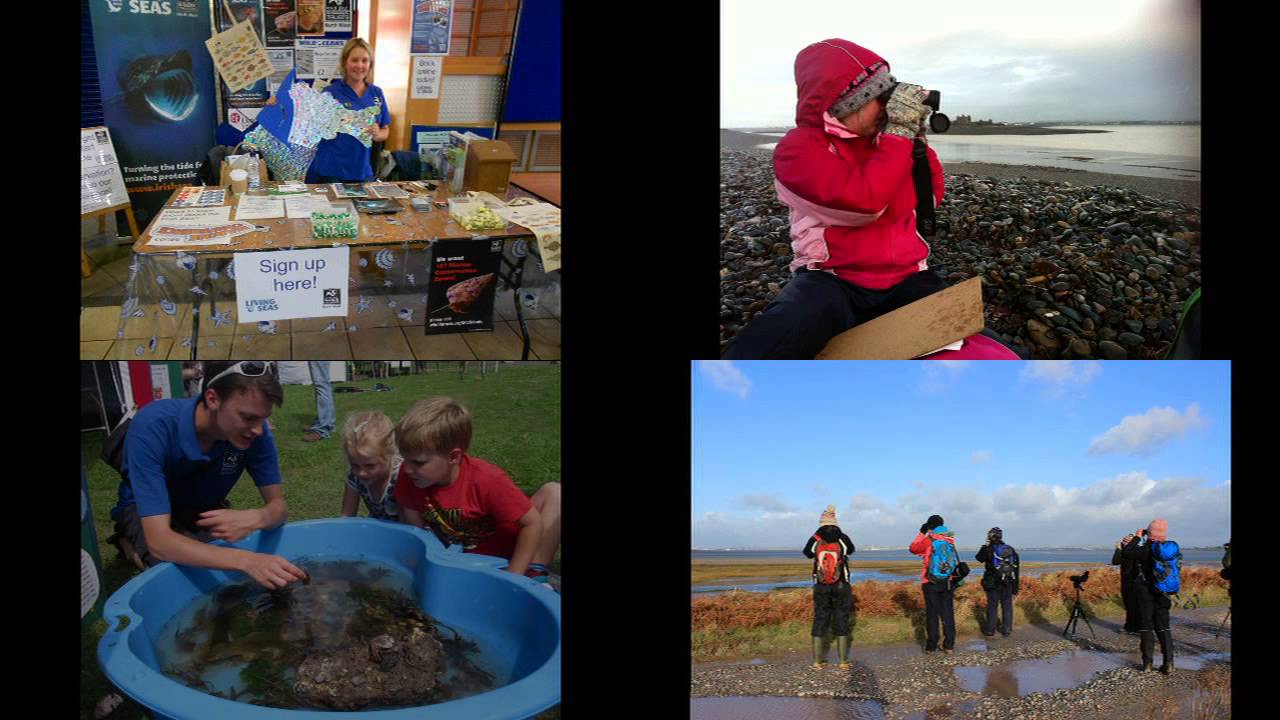 Marine Graduate Training Programme 2011 2014 YouTube Marine Graduate Training Programme 2011 2014 YouTube
