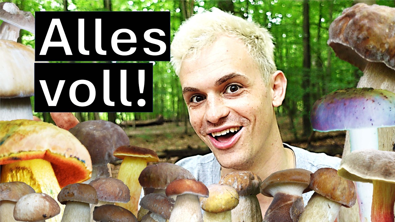 Sommer 2025 eskaliert schon wieder komplett | Steinpilze einsammeln
