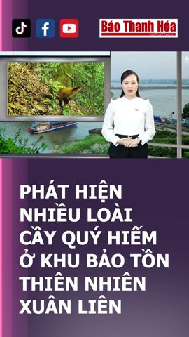 Bản tin 18h ngày 163 Thanh Hóa quy định khu vực cấm quay phim chụp ảnh   Báo Thanh Hóa  YouTube