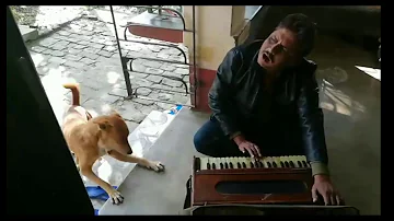 Viral video of dog on teri meri hi kahani, ranu mandal