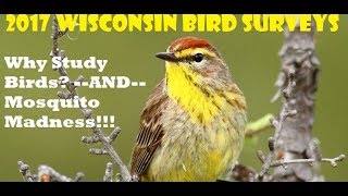 Wisconsin Bird Surveys 2017