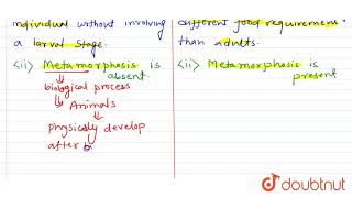 Famous What is the difference between direct and indirect development? Net Worth