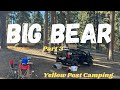 Yellow post camping  big bear  ca