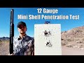 Aguila Mini Shells &amp; Federal Shorty 12 Gauge Shotgun Shells - Are They Effective for Self Defense?
