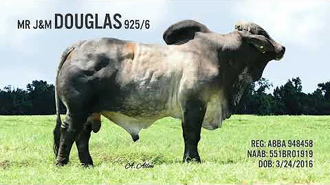 DOUGLAS