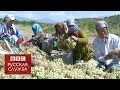 Украинский кризис отозвался в Таджикистане - BBC Russian