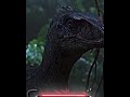 Mutadon Vs JP3 Velociraptor Jurassicworldrebirth Edit Mutadon Vs JP3 Velociraptor Jurassicworldrebirth Edit