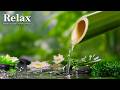 Relaxing Music Soothing Water Sounds Relieve Stress Anxiety Mind Body Deep Sleep mp3