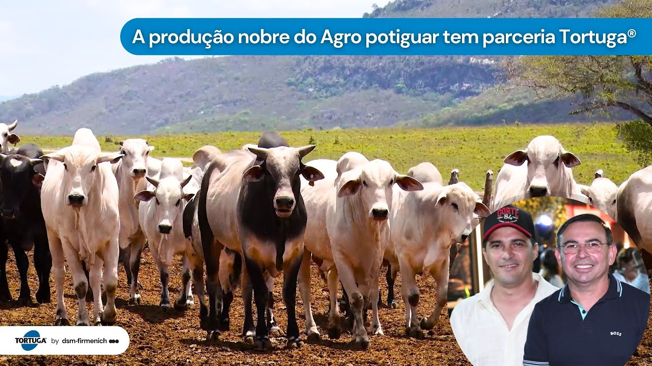 A produção nobre do Agro potiguar tem parceria Tortuga® | Noticiário Tortuga