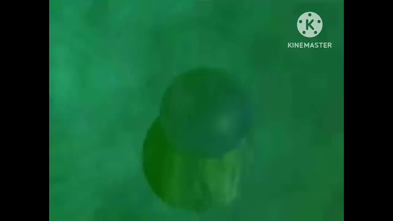 Paramount/Hasbro/Microprose/Zipper (1998)