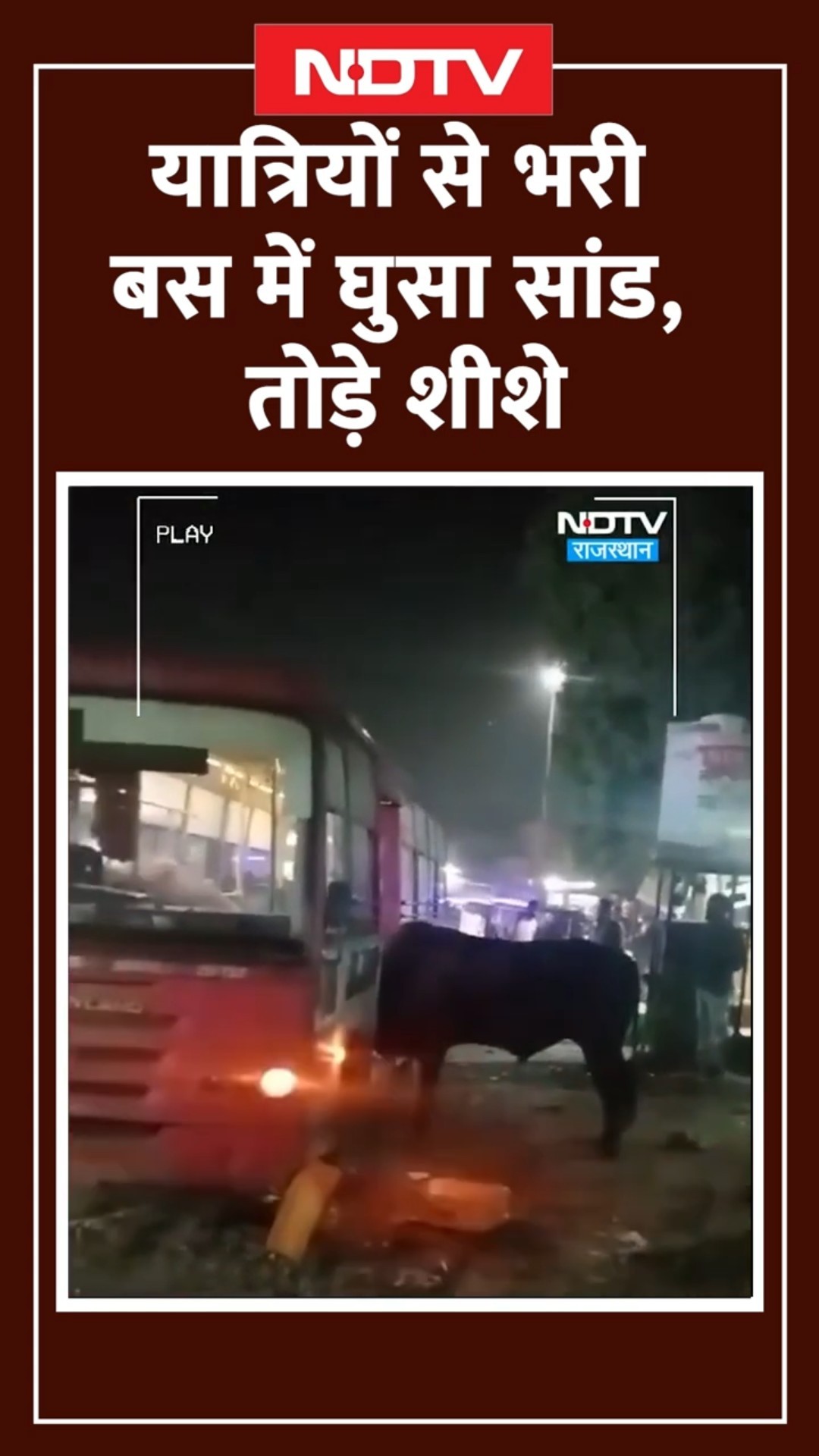Jaipur में यात्रियों से भरी लो फ्लोर बस में घुसा सांड, शीशे तोड़े, जान बचाकर भागे लोग | Viral Video