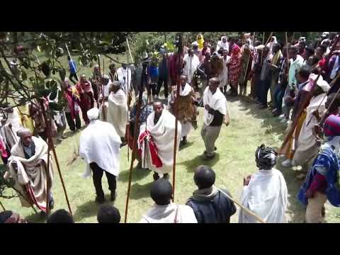 Tafarii Salaalee Sirba Haaraa Irreechaa Daawwadhaa