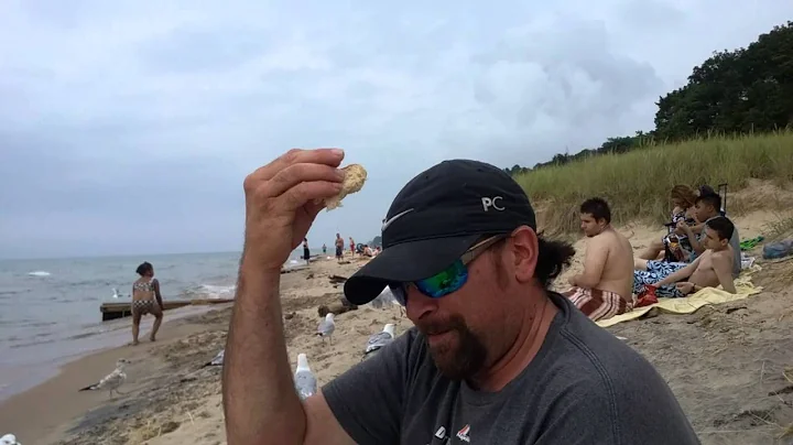 Lake Michigan fun gotta see