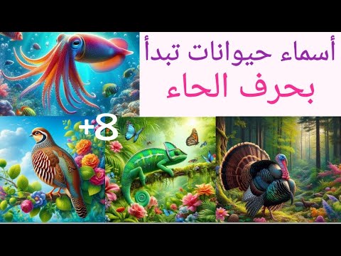 أسماء حيوانات تبدأ بحرف الحاء
