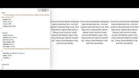 How to Create Responsive Paragraph in Columns with Hover Effect by using CSS & HTML - MR-CODE 2020
