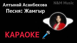 Алтынай Асанбекова - Жамгыр | КАРАОКЕ - Текст песни | N&M Music