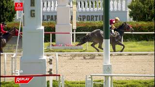 Vidéo de la course PMU PRIX MOHAMED DUK C.