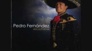 Video thumbnail of "pedro fernandez  - eres toda una mujer"