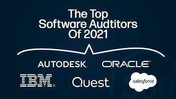 The Most Active Software Vendor Auditors in 2021