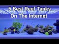 5 best reef tanks on the internet