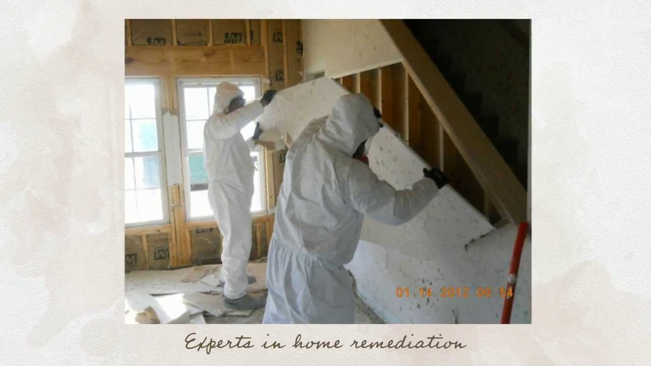 Remediation Services Vancouver