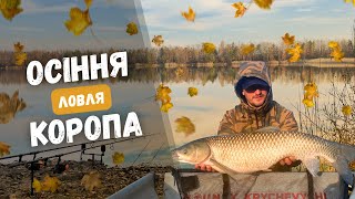 видео: Риболовля на коропа в лісовому озері БАУНТІ. Основні помилки на змаганнях та просто рибалка на карпа картинка: Риболовля на коропа в лісовому озері БАУНТІ. Основні помилки на змаганнях та просто рибалка на карпа