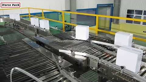 Customized carton box case sorting conveyor box switchable conveyor