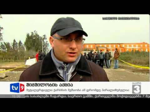 ახალი 3 | შიმშილობის აქცია | 25.03.13