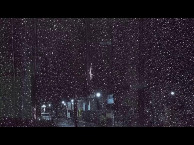 Quiet Rain on Window at Night │ Cozy Sounds for Focus & Relaxation 🌧️🏡