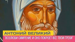 "Возлюби это и оно покроет все твои грехи" - Антоний Великий