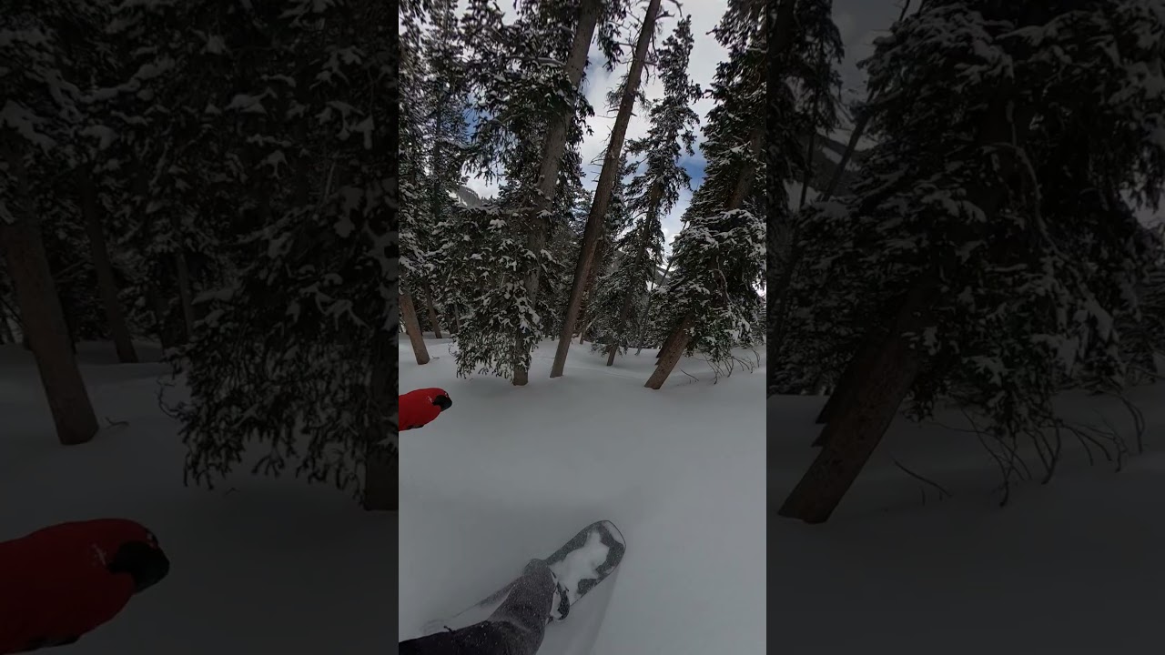 Back for seconds 🍽️ 