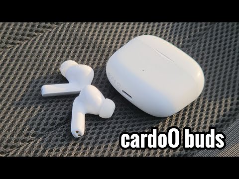 Cardoo buds | مزايا أكبر من السعر