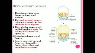 Development of face2 screenshot 5