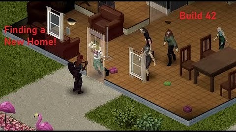 Zomboid Beginner