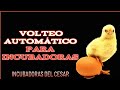 Sistema de volteo automático para incubadoras