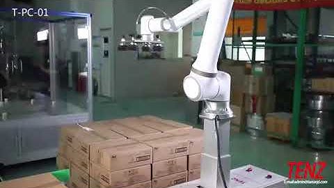 What is a Palletizer and How Does It Work? Please watch the working process of the robot palletizer
