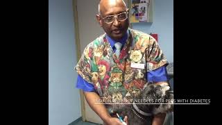 Insulin Injections For Dogs With Diabetes Without Needles