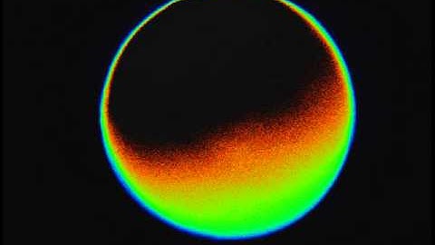 Ionomyocin Activation of Intracellular Calcium in Xenopus Oocyte- Anna Ters