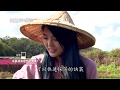 山城裡發現慢經濟 【在台灣的故事第925集】Exploring the mountain economy