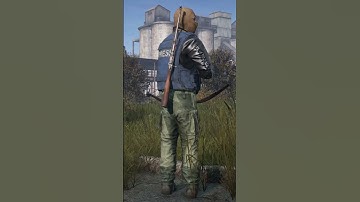 Loading Screen Fun in DayZ!  #malarkey #gaming  #dayz #Dayztips