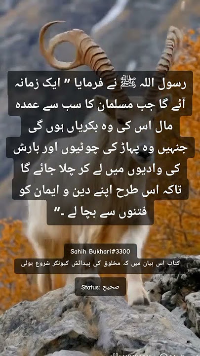 hadees Mubaraka #recite #daroodshareef #dailyhadith#hadees #quran #unfrezzmyaccount #viralvideo#love