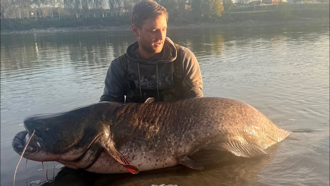 Podzimní sumci z Pádu 2025 [průvodcování + bonus listopad s Jakubem Tůmou]