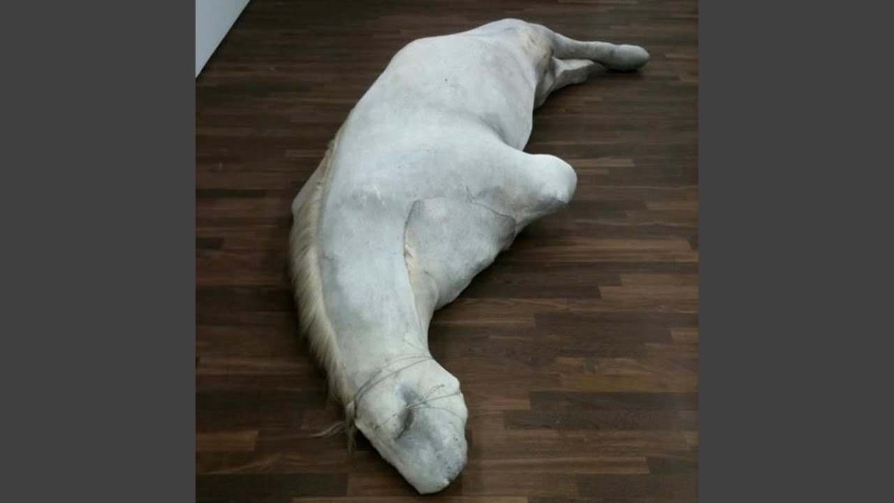 Watch ABUSER on YouTube Watch ABUSER on YouTube