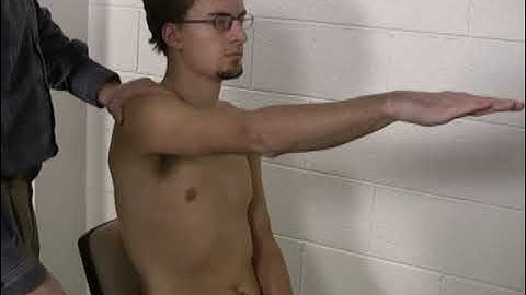 MMT Group Shoulder Flexion