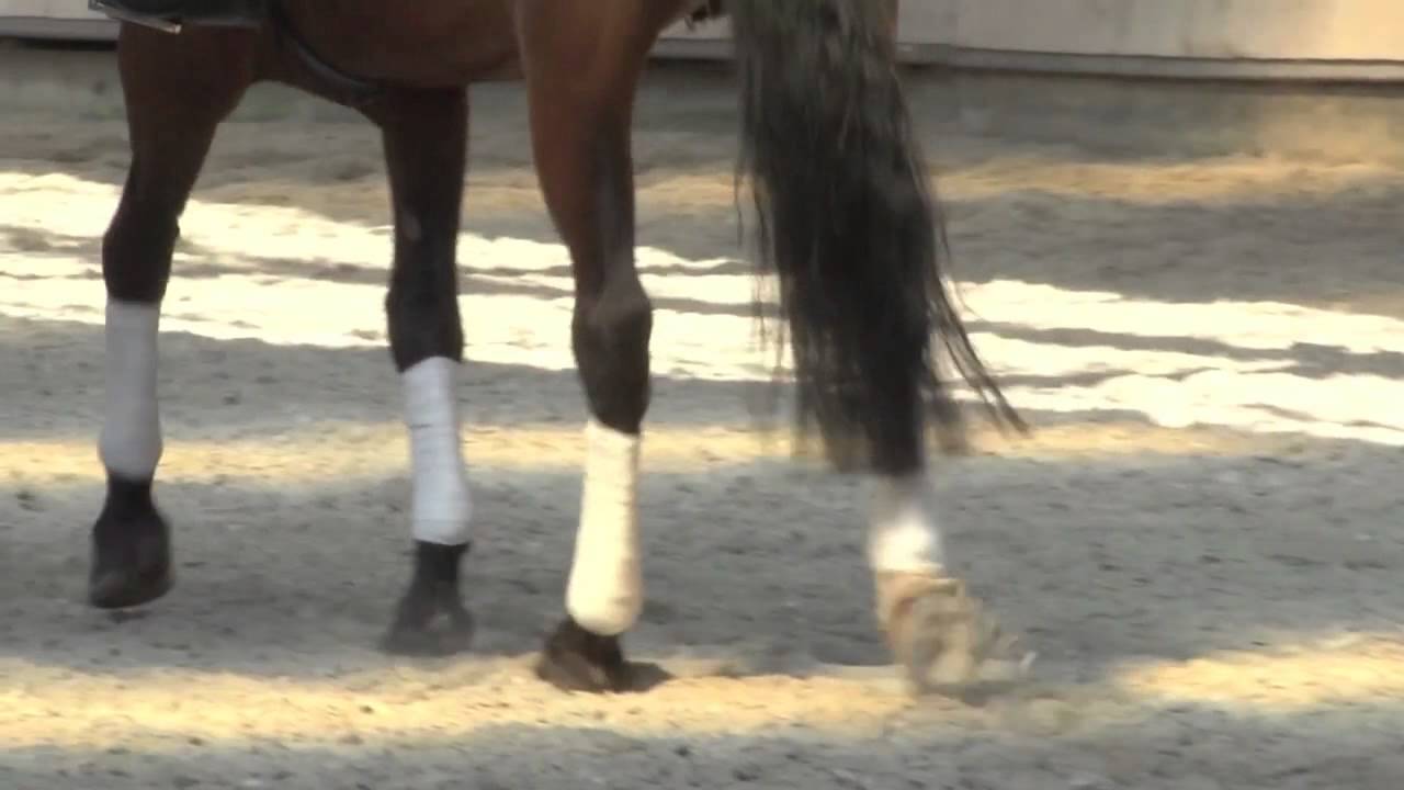 Inleiding aflevering 3: Rechtrichten