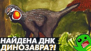 ВРЕМЯ КЛОНИРОВАТЬ ДИНОЗАВРОВ? Новые данные о ДНК динозавров | Каудиптерикс | Палеообзор