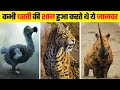 इंसानों की गलती ने किया इस जानवर को गायब | These Animals Became Extinct Due to Hunting