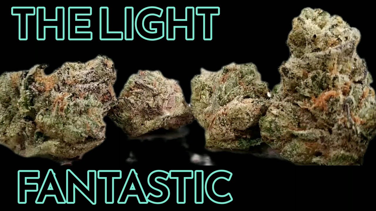 Daze Off - The Light Fantastic - Illinois Cannabis Review 